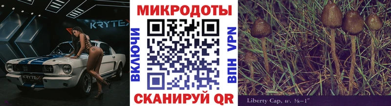 Псилоцибиновые грибы MAGIC MUSHROOMS  где купить наркотик  Урень 